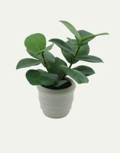 Mini Wide Leaf Artificial Plant-GL00154