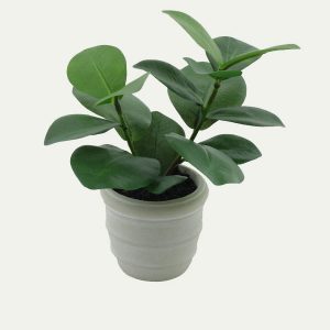 Mini Wide Leaf Artificial Plant