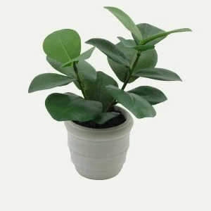 Mini Wide Leaf Artificial Plant