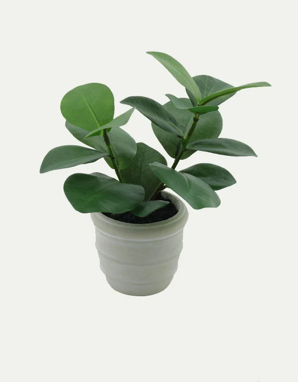 Mini Wide Leaf Artificial Plant