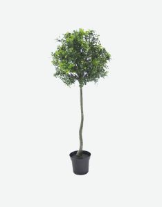 Boxwood Artificial Plant-GL00192