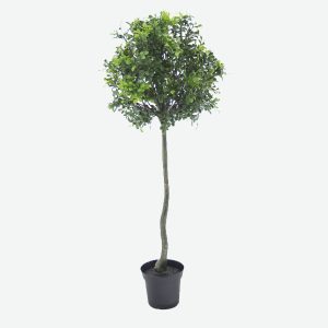 Boxwood Artificial Plant