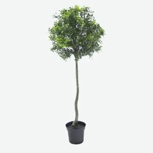 Boxwood Artificial Plant