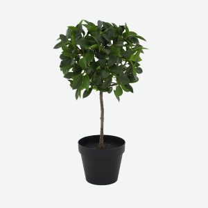 water banyan artificial plants