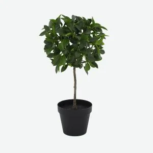 water banyan artificial plants