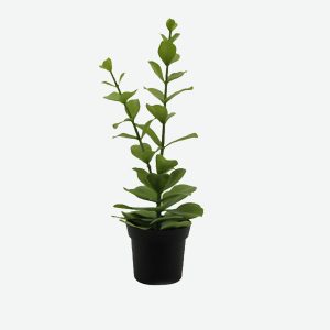 Foliated Cactus Artificial Plant