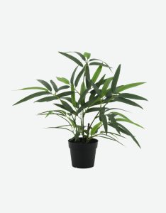 Long Green Bamboo Plant-GL00163