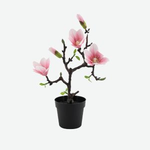 Magnolia Bonsai Artificial Plant