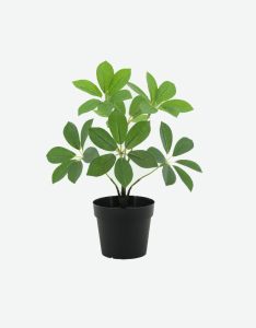 Duck’s Foot Wood Artificial Plant-GL00162