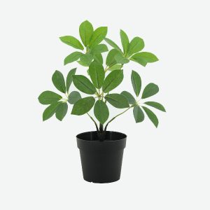 Duck's Foot Wood Artificial Plant