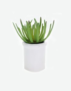 Spider Claw Artificial Plant-GL00171
