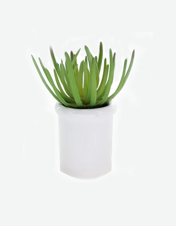 Spider Claw Pot Artificial Plant