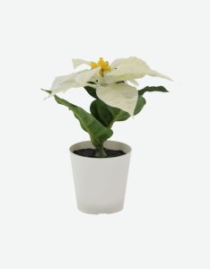 Mini Christmas Flower White -GL00137