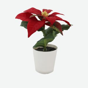 Mini Christmas Flower