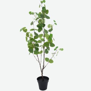 Money Leaf Artificial Plant
