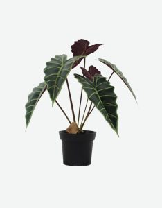 Diamond Leaf Artificial Plant-GL00165