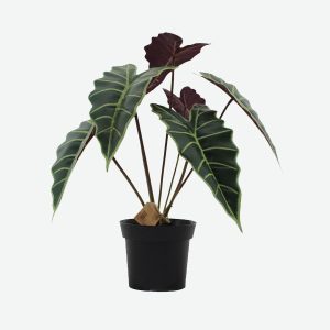 Diamond Leaf Artificial Plant