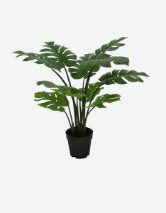 Turtle Back Artificial Plant-GL00181