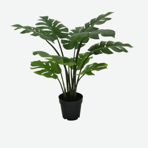 Turtle Back Artificial Plant