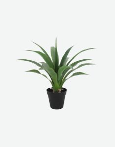 Yucca Artificial Plant-GL00186