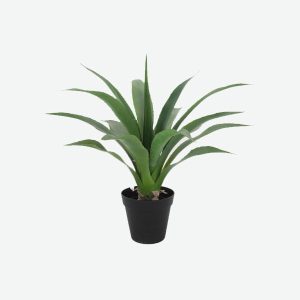 Yucca Artificial Plant
