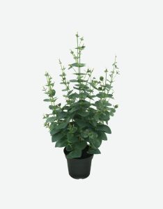 Eucalyptus Artificial Plant-GL00135