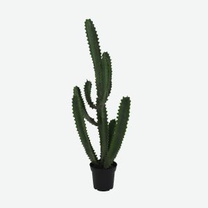 Cactus Artificial Plant