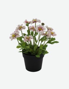 Daisy Artificial Flower-GL00142