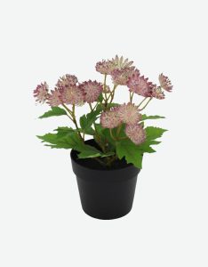 Swedish Artificial Flower-GL00141