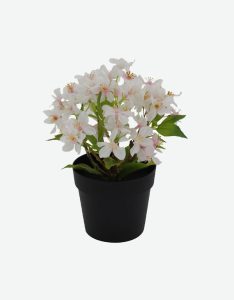 Peach Artificial Flower-GL00140