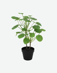 Fern Artificial Plant-GL00074