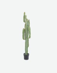 Medium Catus Artificial Plant-GL00201