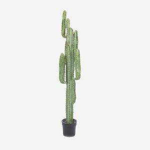 Medium Catus Artificial Plant
