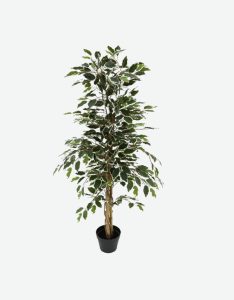 Ficus 558LVS Artificial Plant-GL00187