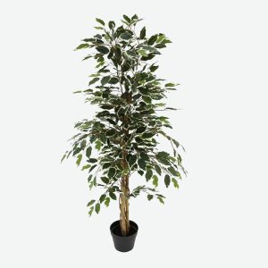 Ficus 558LVS Artificial Plant