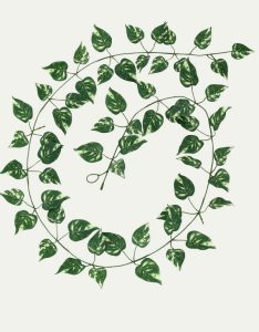 Golden Caraway Vine Artificial Plant -GL00149