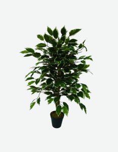 Ficus Artificial Plant-GL00177