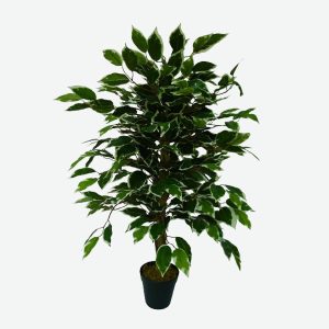 Ficus Artificial Plant