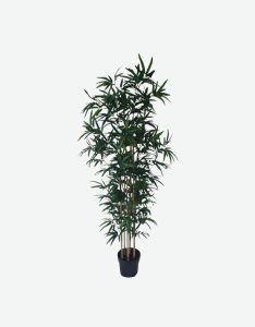 Bamboo 6T Artificial Plant-GL00195