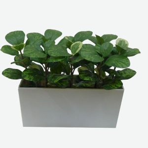 Artificial Baby Rubber Plant