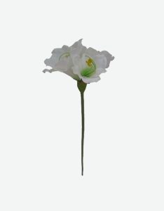 Single Amaryllis Artificial Flower-GL00159