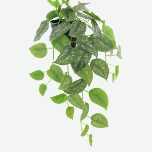 Silver Spot Ivy Artificial Plant