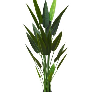 A006
