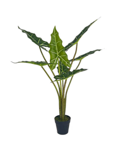 A010
