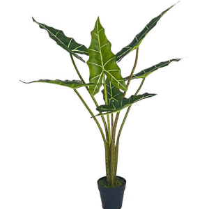 A010