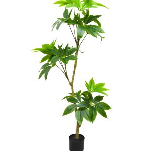 A041