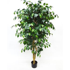 A042