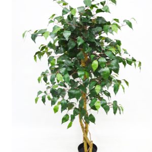 A047