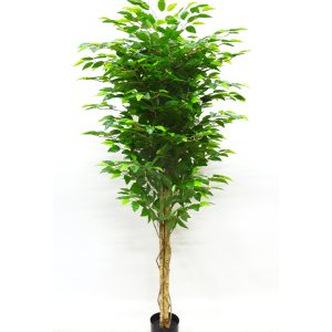 A050