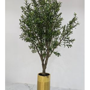 Olive Tree 250CM-GL00033